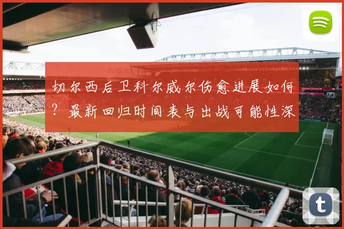 切尔西后卫科尔威尔伤愈进展如何？最新回归时间表与出战可能性深度解析